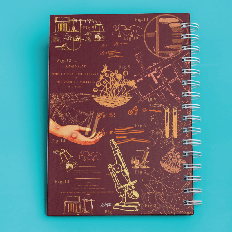 Cuaderno - Historia de la microbiología - Imagen 2