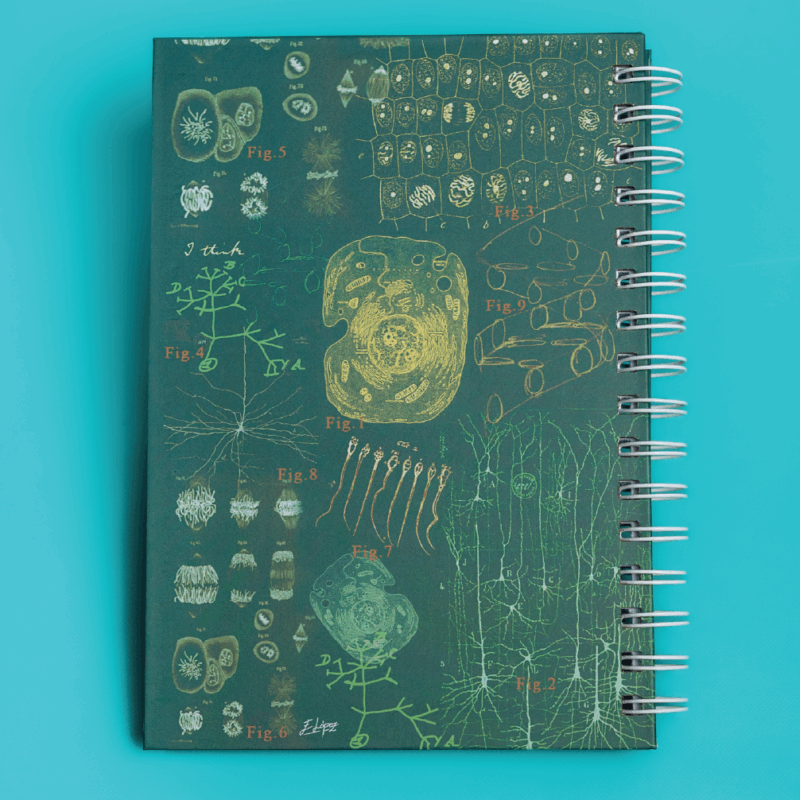 Cuaderno - Historia de la célula - Imagen 2