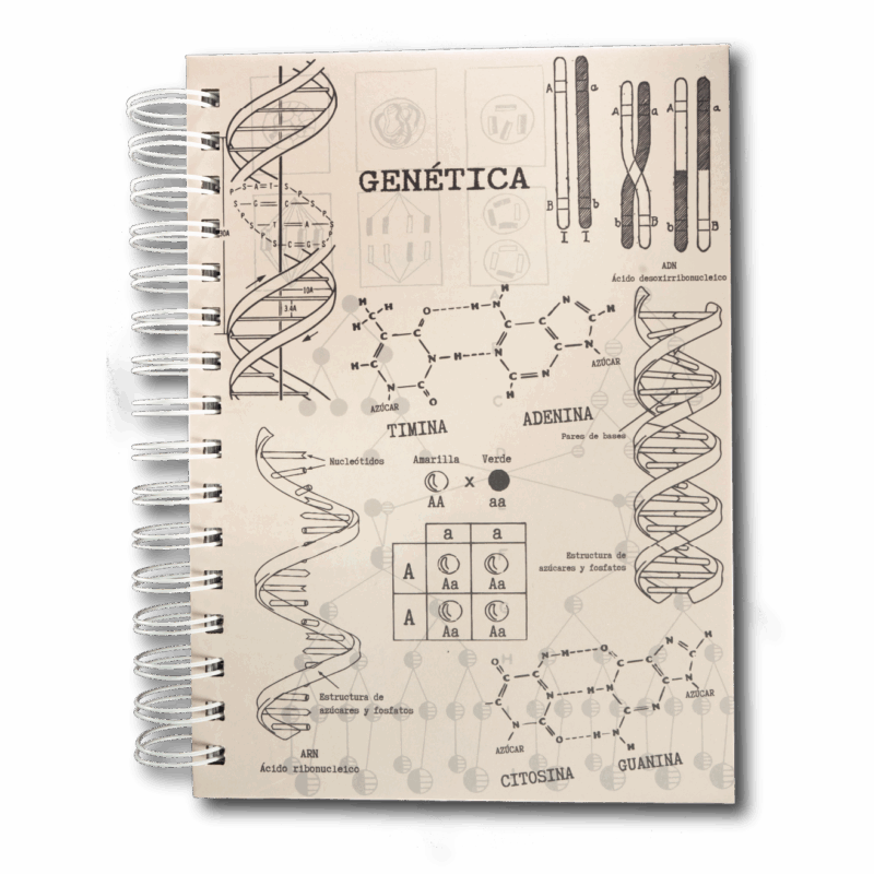 Cuaderno - Genética