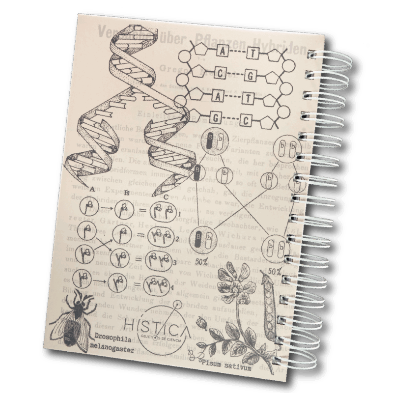 Cuaderno - Genética - Imagen 2