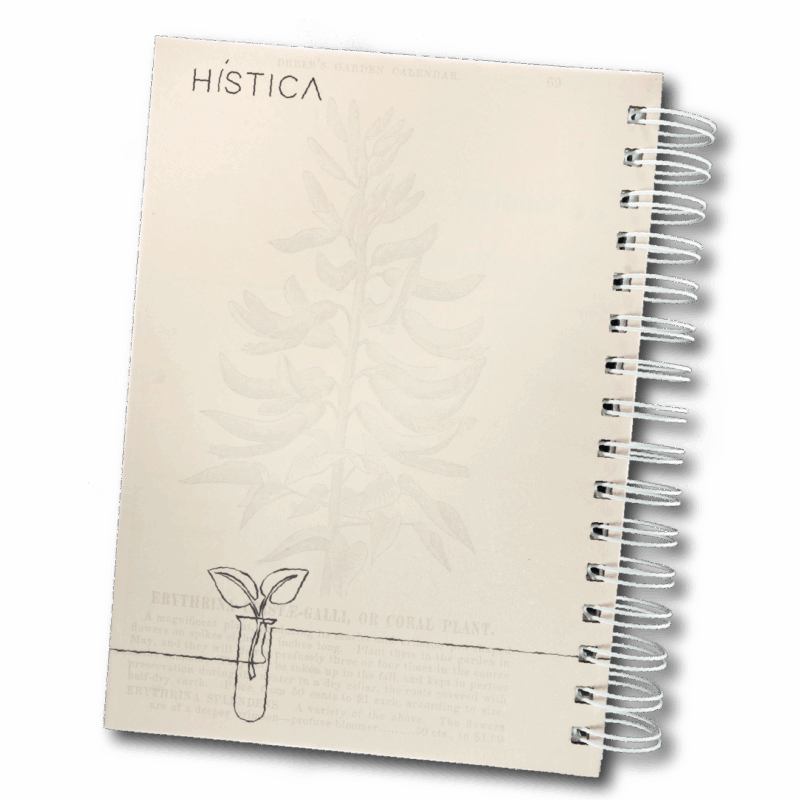 Cuaderno - Flores nativas - Imagen 2