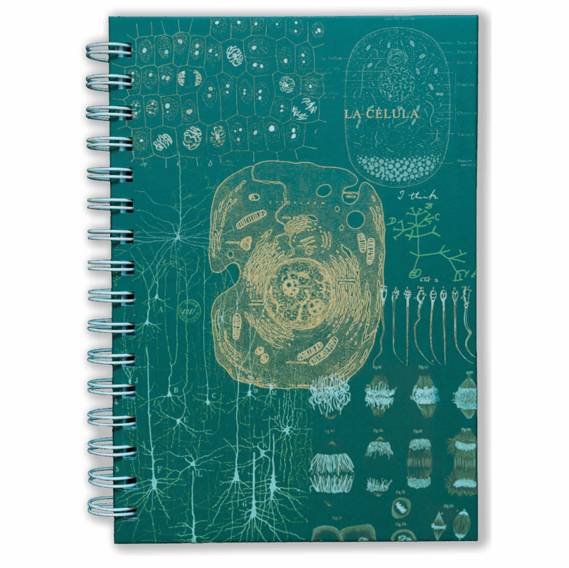 Cuaderno - Historia de la célula