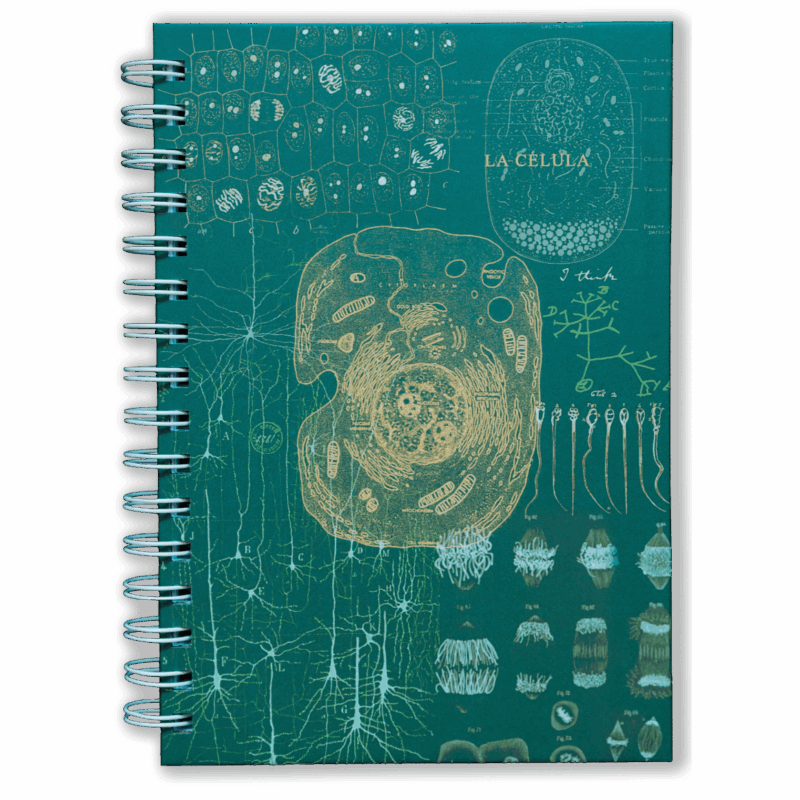 Cuaderno - Historia de la célula