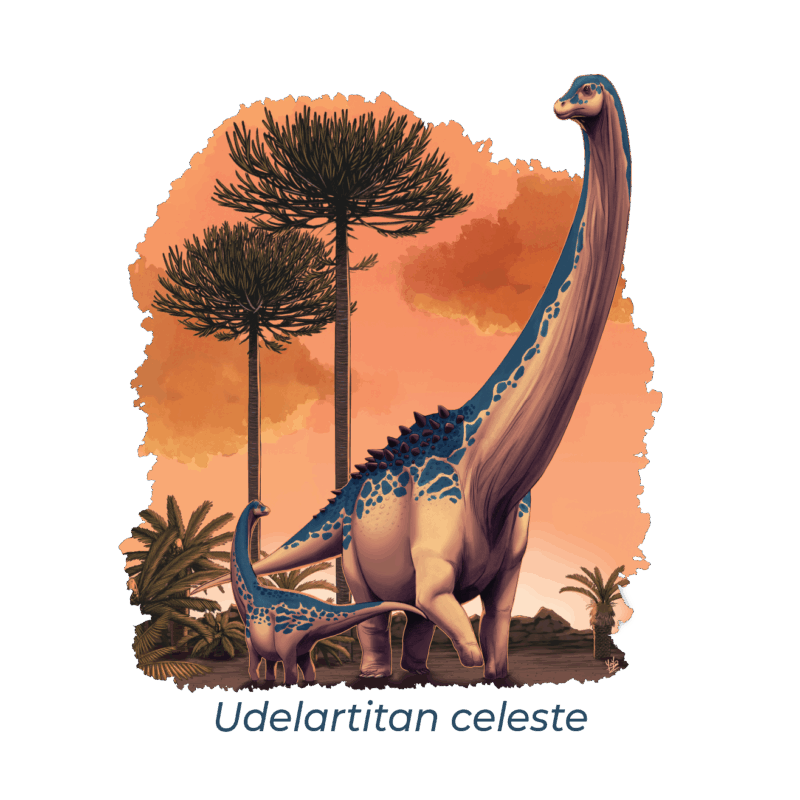 Histibag - Udelartitan celeste - Imagen 4