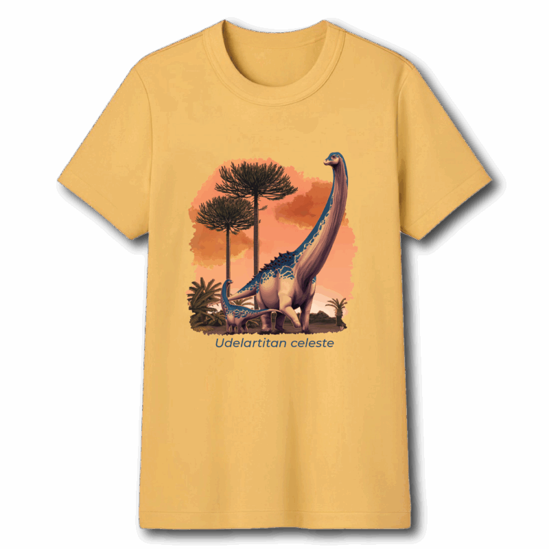 Remeras de adulto - Imagen 10