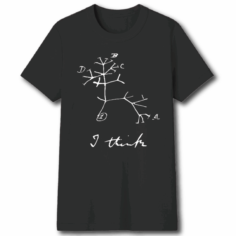 Remeras de adulto - Imagen 31