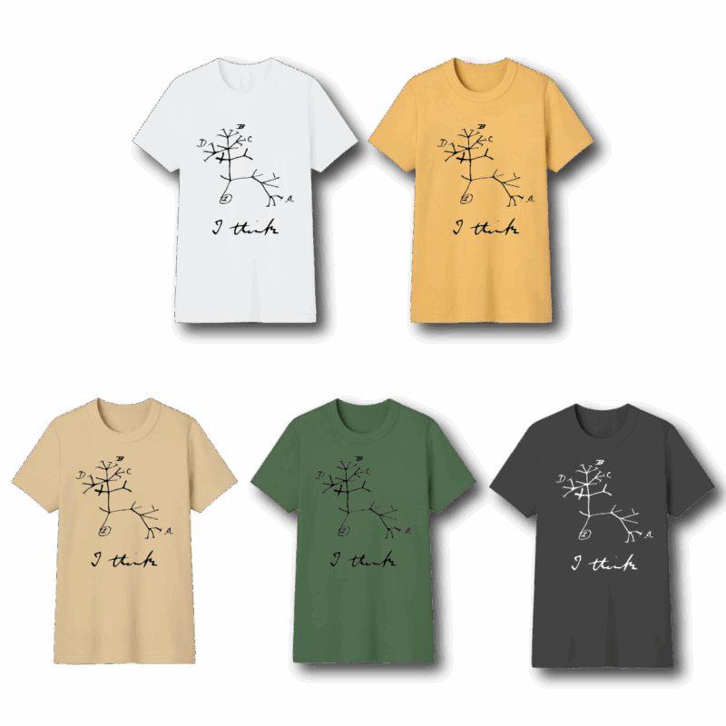 Remeras de adulto - Imagen 32