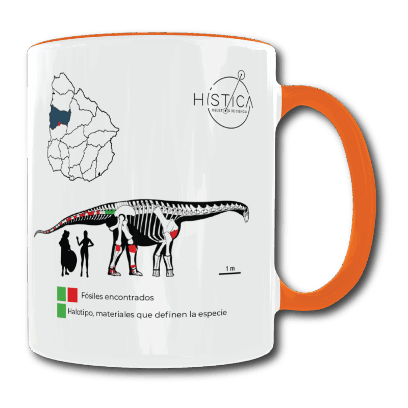 Taza - Udelartitan celeste - Imagen 2