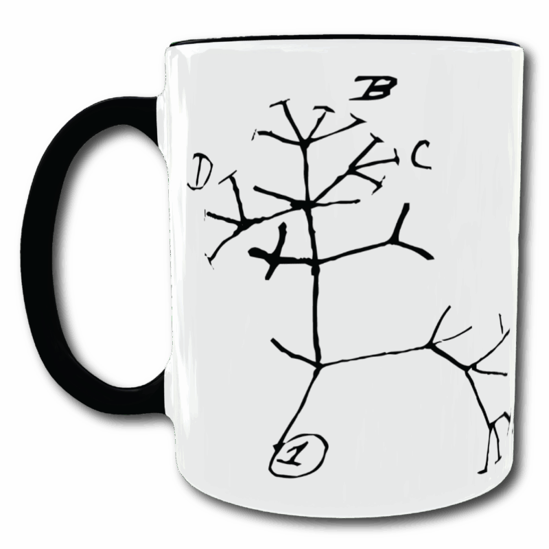 Taza - Árbol de la vida de Darwin