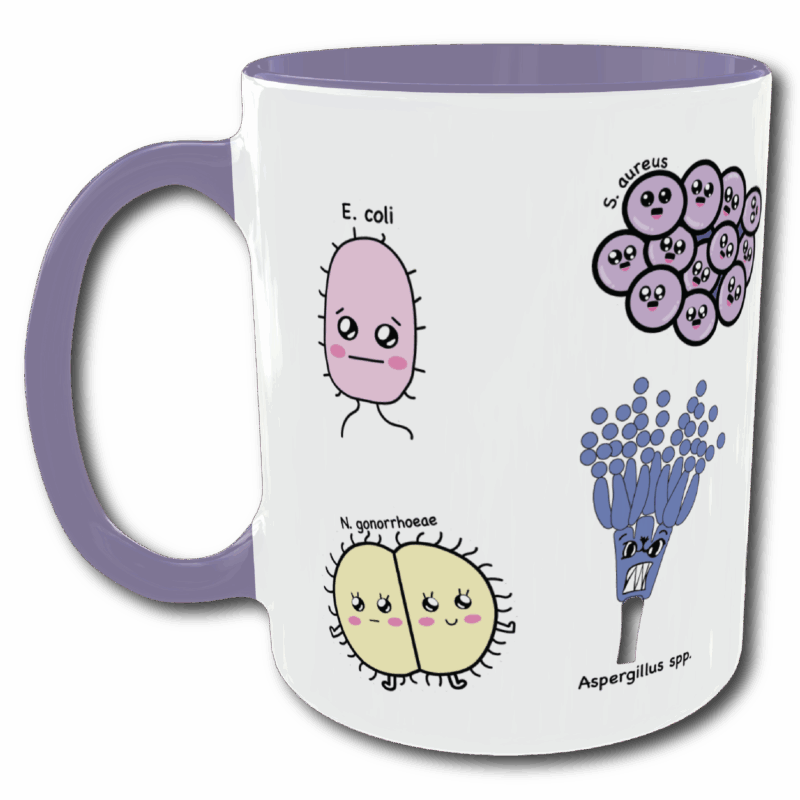 Taza - Microorganismos
