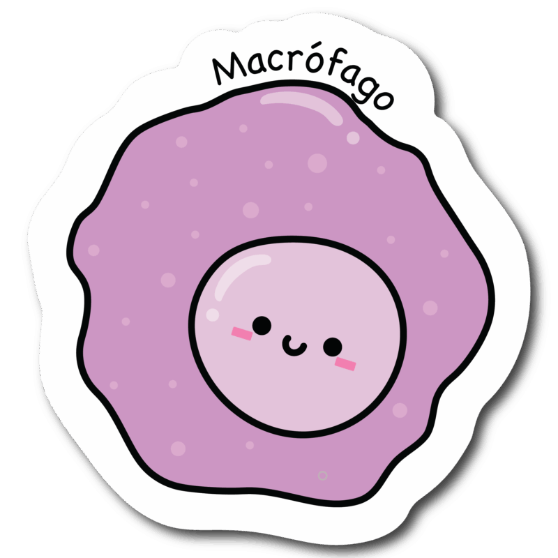 Packs de stickers - Inmunología - Imagen 2