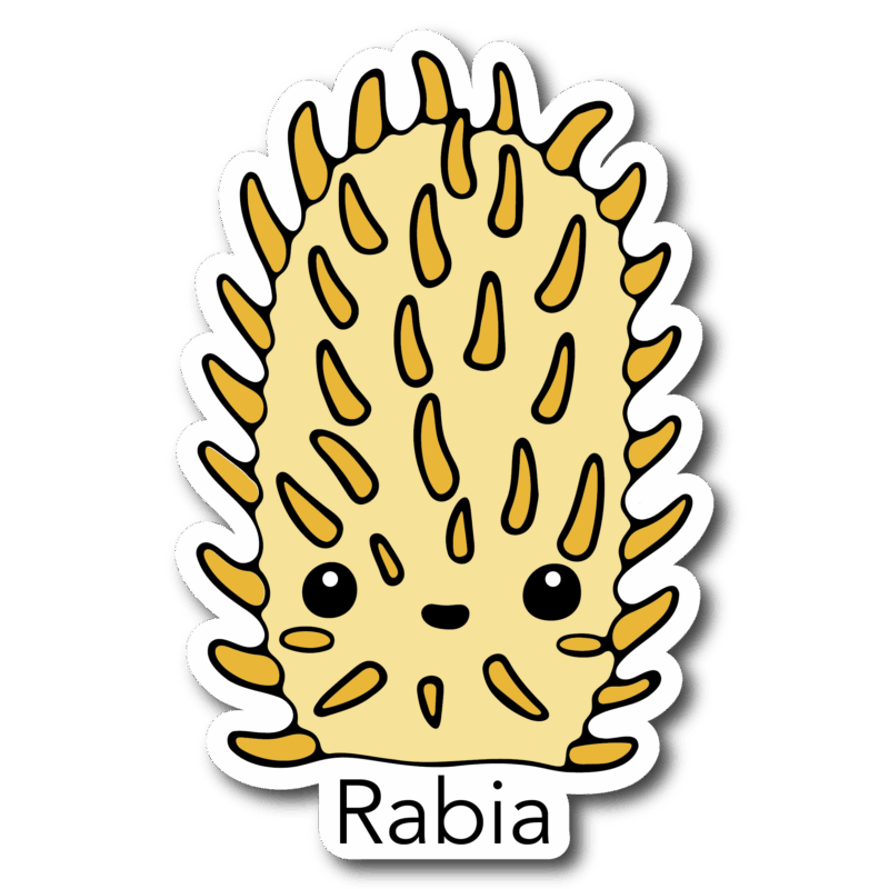 Packs de stickers - Virus - Imagen 2