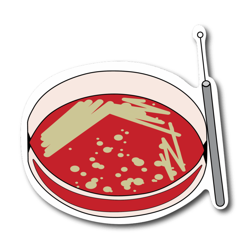 Packs de stickers - Microorganismos - Imagen 7