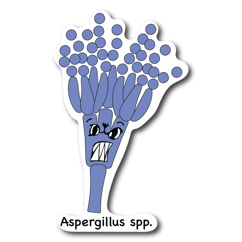 Packs de stickers - Microorganismos - Imagen 3