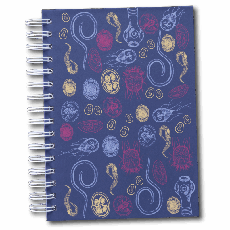 Cuaderno - Parásitos