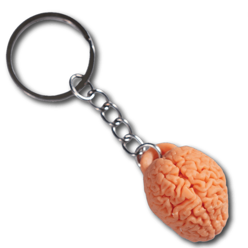 Llavero cerebro - Imagen 2