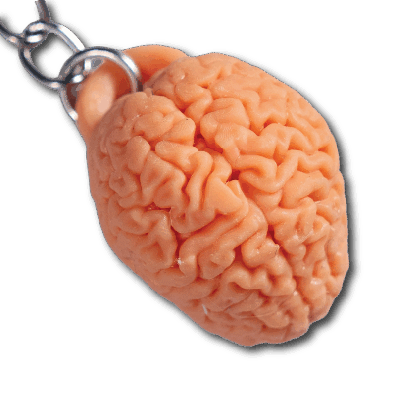 Llavero cerebro - Imagen 3