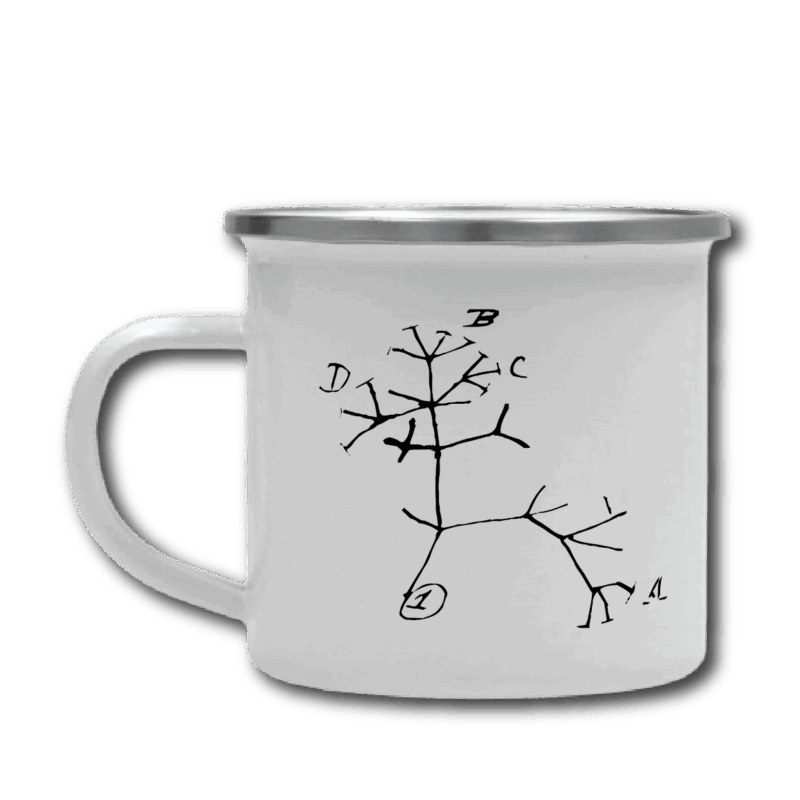 Jarro - Árbol de la vida de Darwin
